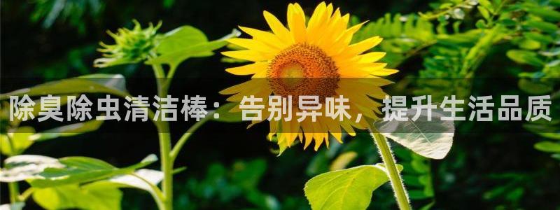 尊龙AG发财网