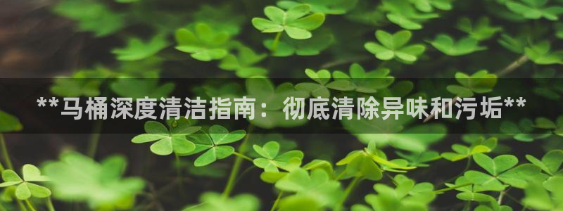 尊龙人生手机版：**马桶深度清洁指南：彻底清除异味和污垢