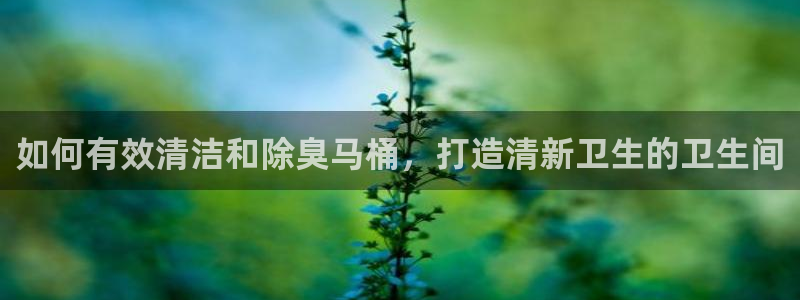 尊龙凯时投诉最狠的方法：如何有效清洁和除臭马桶，打造清新