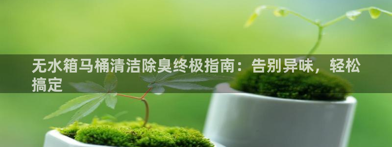 凯时国际app登录：无水箱马桶清洁除臭终极指南：告别异味