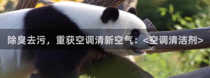 d88尊龙手机客户端下载：除臭去污，重获空调清新空气：<