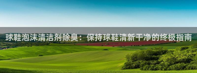 尊龙官网地址