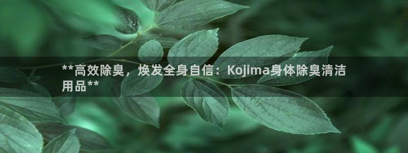 凯时最新官方APP下载