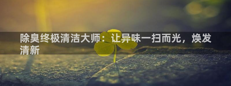 尊龙平台登录：除臭终极清洁大师：让异味一扫而光，焕发
清