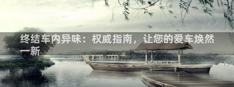 尊龙凯时企业文化：终结车内异味：权威指南，让您的爱车焕然