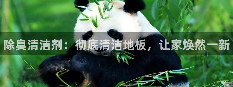 尊龙人生就是博旗舰厅：除臭清洁剂：彻底清洁地板，让家焕然