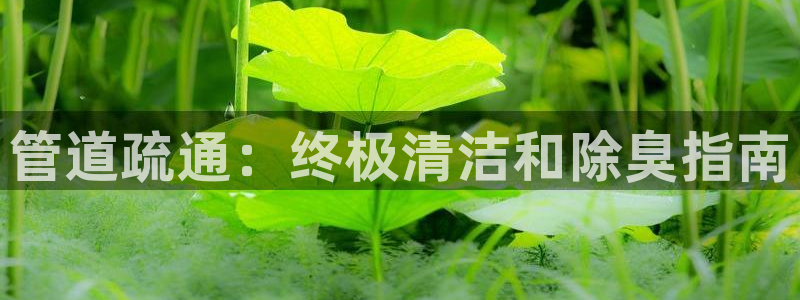 尊龙ag旗舰厅登陆