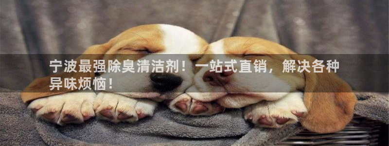 尊龙凯时人生就是搏平台