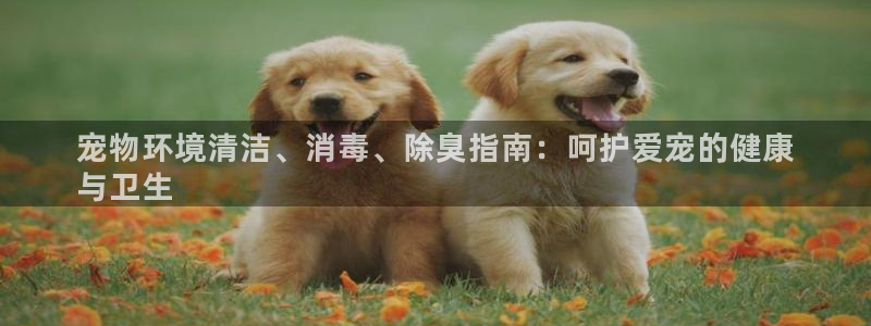 尊龙长相评价