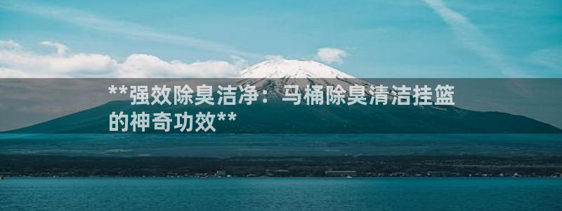 尊龙凯时台子：**强效除臭洁净：马桶除臭清洁挂篮
的神奇