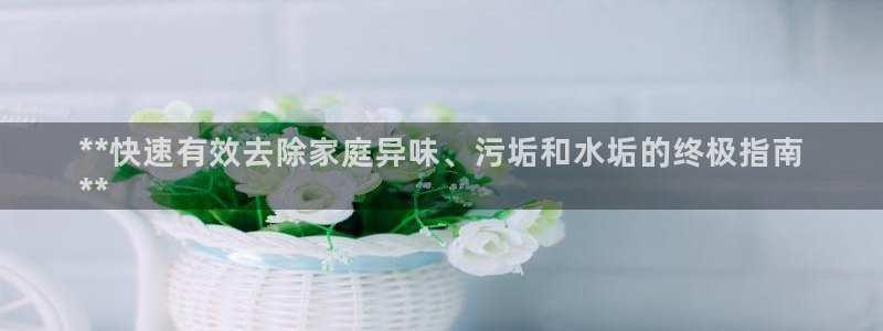 z6尊龙凯时旗：**快速有效去除家庭异味、污垢和水垢的终