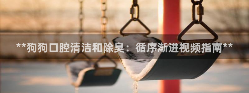 尊龙app最新版本官网