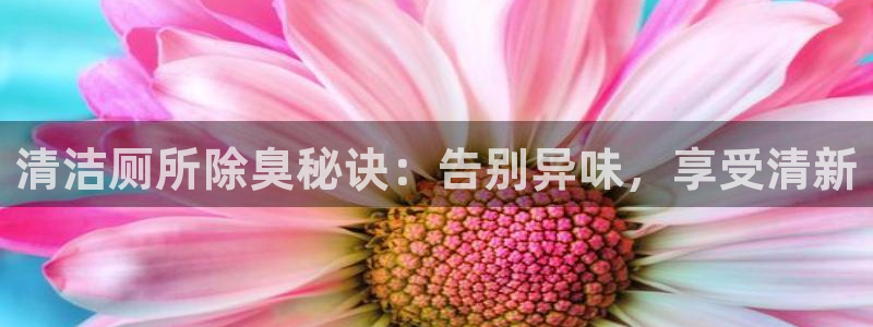 凯时国际官方版
