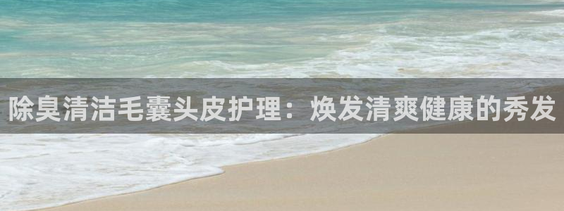 ag尊龙凯时集团：除臭清洁毛囊头皮护理：焕发清爽健康的秀
