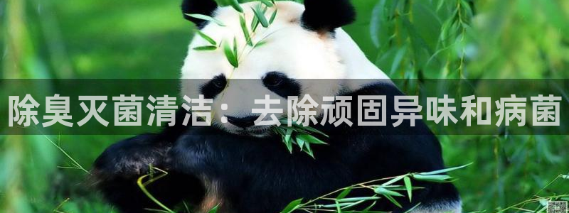 凯时K8国际：除臭灭菌清洁：去除顽固异味和病菌