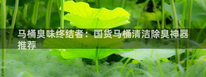 尊龙凯时官网登录入口：马桶臭味终结者：国货马桶清洁除臭神