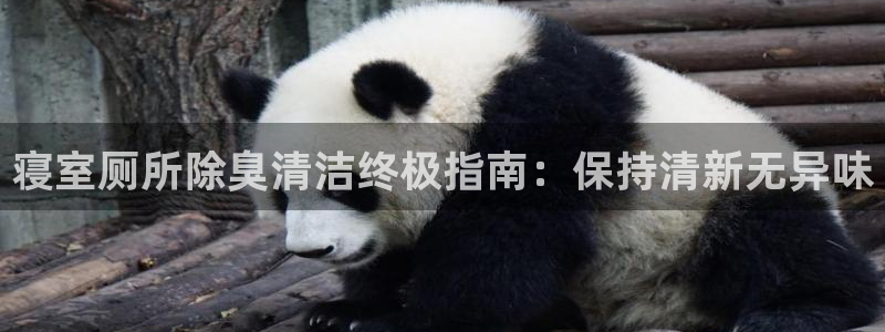 尊龙体育正规么