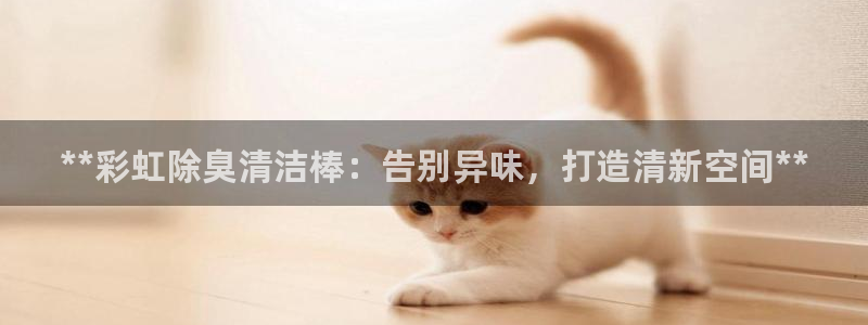 尊龙凯时平台怎么样：**彩虹除臭清洁棒：告别异味，打造清