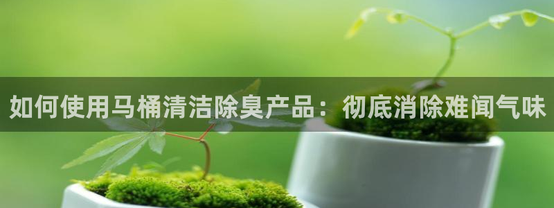 尊龙登录：如何使用马桶清洁除臭产品：彻底消除难闻气味