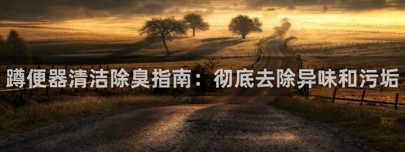 尊龙 贴吧：蹲便器清洁除臭指南：彻底去除异味和污垢
