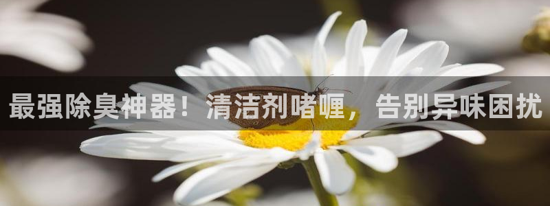 尊龙app认可ag发财网