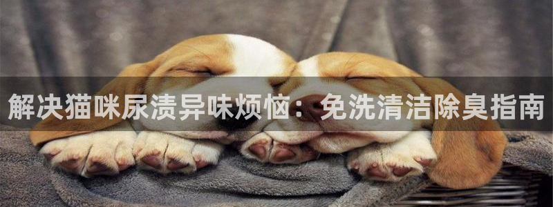 尊龙凯时-人生就是博中国官网最新