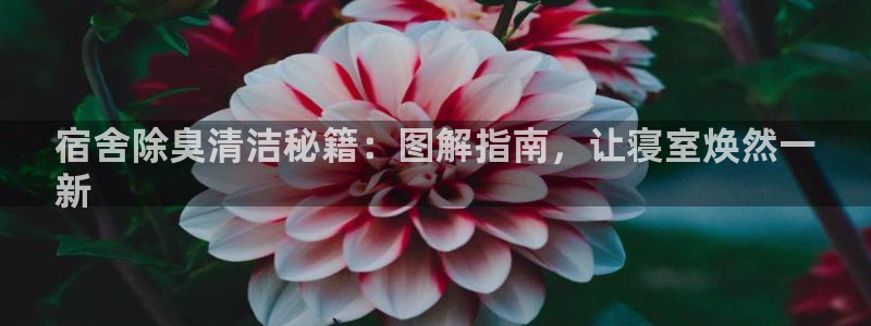 尊龙d88官网确来就送38：宿舍除臭清洁秘籍：图解指南，