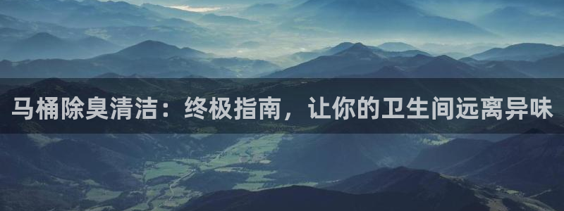 凯时网址多少：马桶除臭清洁：终极指南，让你的卫生间远离异