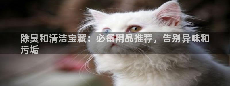尊龙app登录不了：除臭和清洁宝藏：必备用品推荐，告别异
