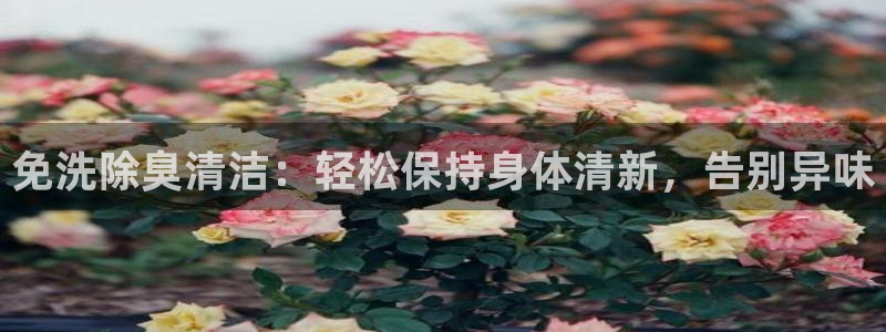 尊龙官网/首选kpm