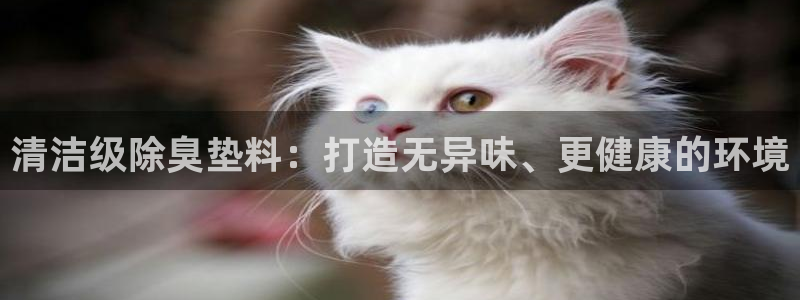 尊龙凯时城游戏官网：清洁级除臭垫料：打造无异味、更健康的