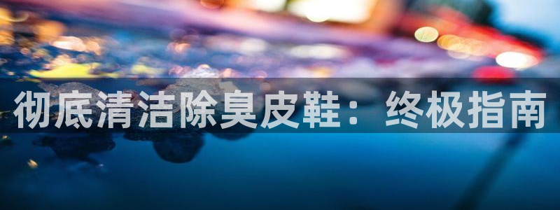 尊龙物流怎么样：彻底清洁除臭皮鞋：终极指南