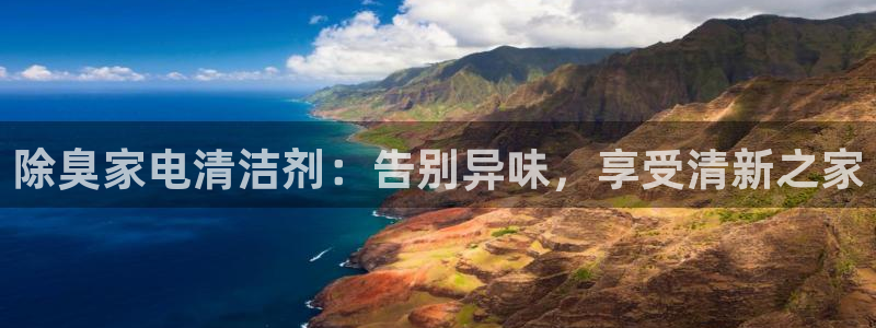 kb88凯时会员登录：除臭家电清洁剂：告别异味，享受清新