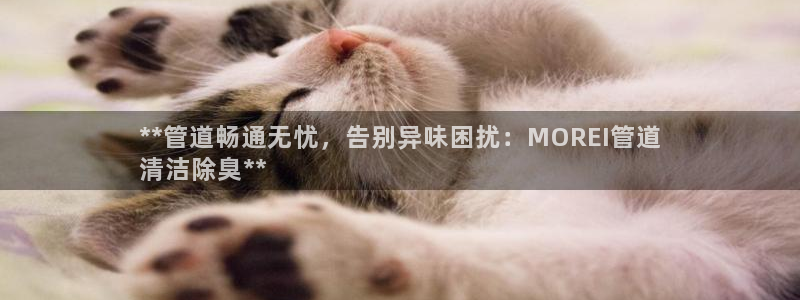 AG尊龙登陆网址：*