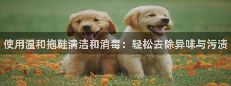 尊龙人生就是博一下下