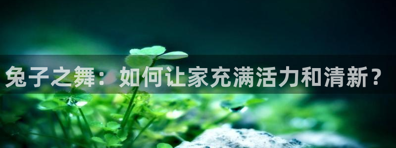 尊龙目前在哪