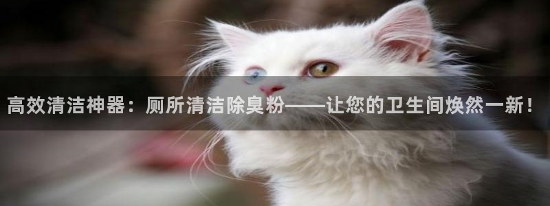 尊龙 贴吧