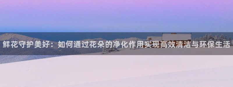 尊龙官网入口