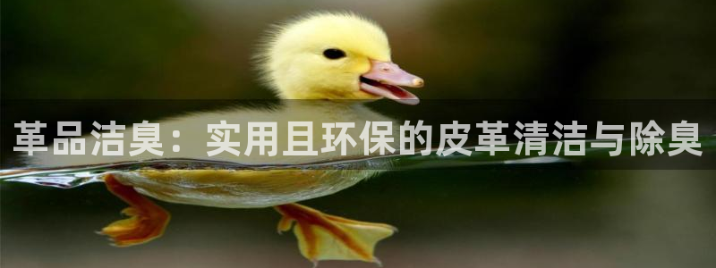尊龙官网免费下载安装