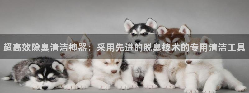 尊龙凯时能不能提现?