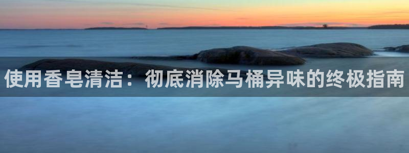 尊龙凯时处理未到账：使用香皂清洁：彻底消除马桶异味的终极