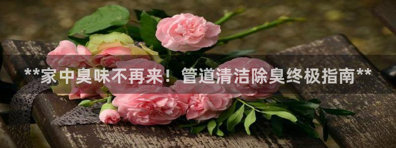 尊龙官网注册：**家