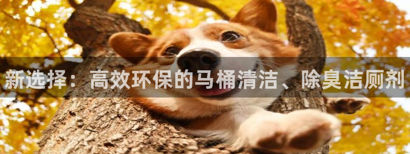 Z6尊龙凯时官方