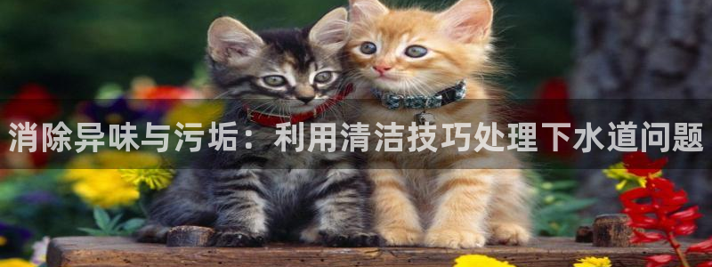 尊龙凯时官方下载