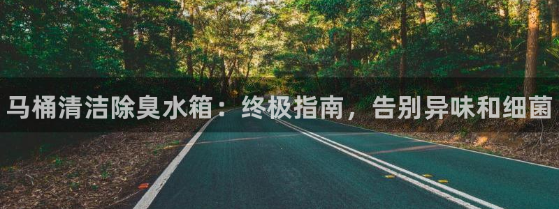 尊龙手机版下载：马桶