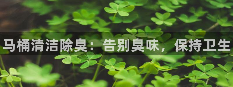 尊龙凯时处理未到账：马桶清洁除臭：告别臭味，保持卫生