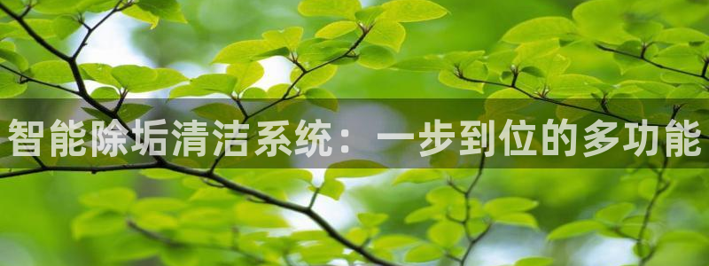 尊龙人生就是博旧版现