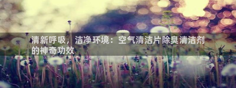 尊龙凯时人生就是博游戏网站：清新呼吸，洁净环境：空气清洁