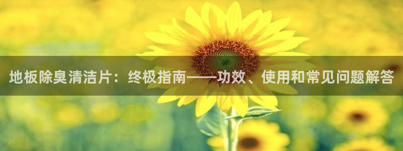 尊龙凯时品牌介绍：地