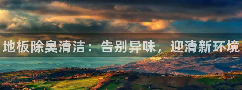 尊龙现金d88：地板除臭清洁：告别异味，迎清新环境